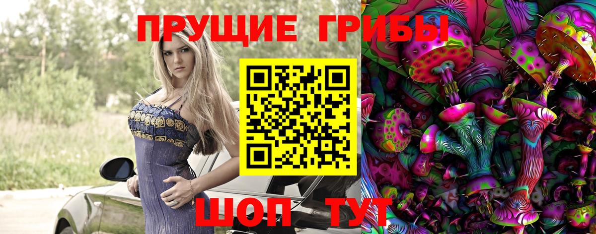 Киров  Псилоцибиновые грибы прущие грибы  Вход с VPN 